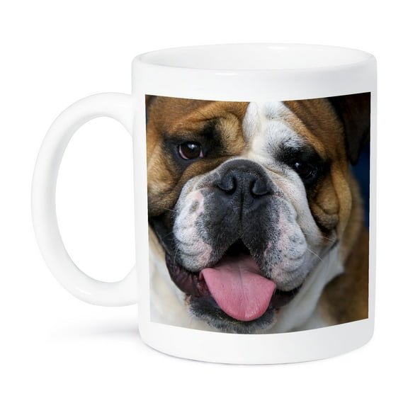 3dRose, An English Bulldog in Belgium-EU04 DFR0027 - David R. Frazier, 15oz Mug