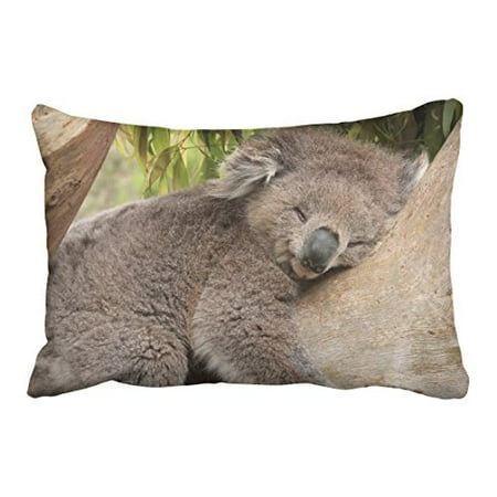 RYLABLUE Decorative Decorative Standard Pillow Case Animals koala bear tree sleeps bamboo leaves Size 20x30 inches Two Side Walmart
