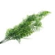 thumbnail image 5 of Plantas colgantes artificiales TUNC paquete de 3, 5 of 5