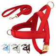 thumbnail image 2 of Personalized Dog Harness Leash Set No Pull Dog Harnesses Adjustable Pet Vests For Small Medium Large Dogs Pets Walking Lead Rope ShopWise Round, 2 of 10