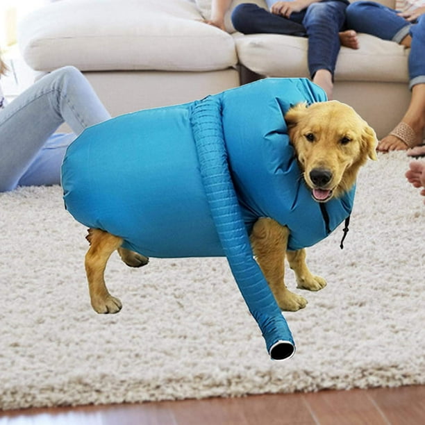 Dog coat blower outlet