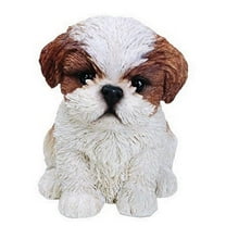 Hi-Line Gift Ltd, Brown & White Shih Tzu Puppy