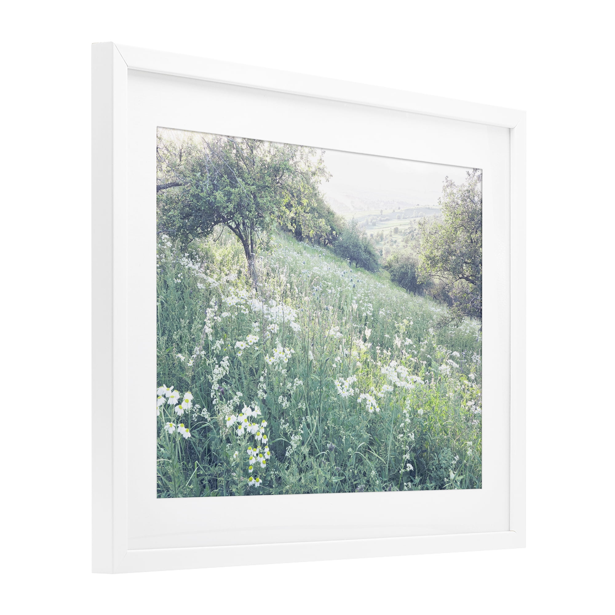 Stupell Industries Sunny Daisies in Meadow White Framed Print Under Glass, design by Leah Straatsma