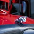 thumbnail image 5 of Chrome Long Horn Bull Hood Ornament, 5 of 5