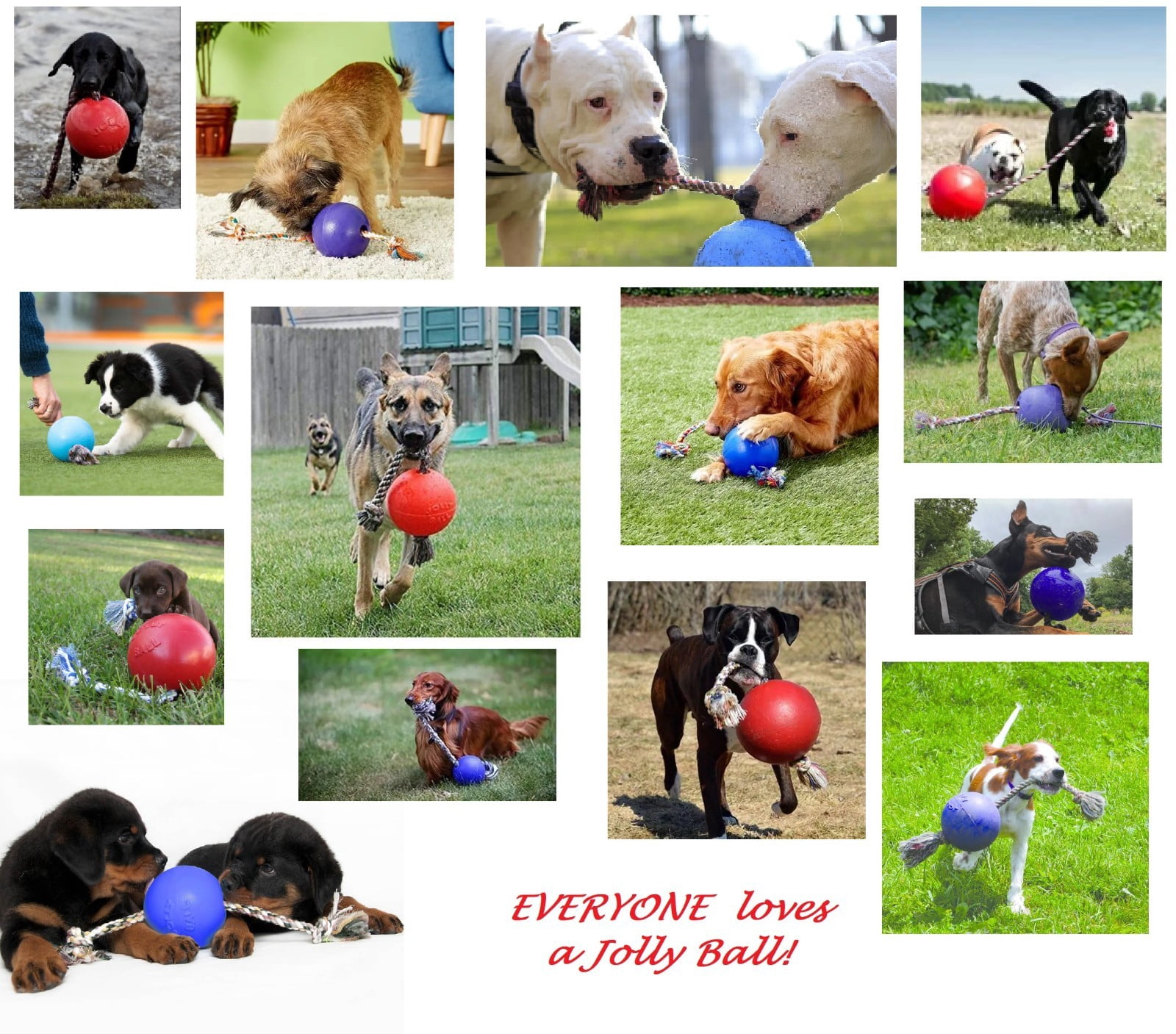 Floating Interactive Rope Dog Horse Toys Romp and Roll Dog Water Tug (Medium - Purple)