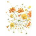thumbnail image 2 of Popp, Grace 25x32 White Modern Wood Framed Museum Art Print Titled - Sunny Wild Bouquet II, 2 of 4