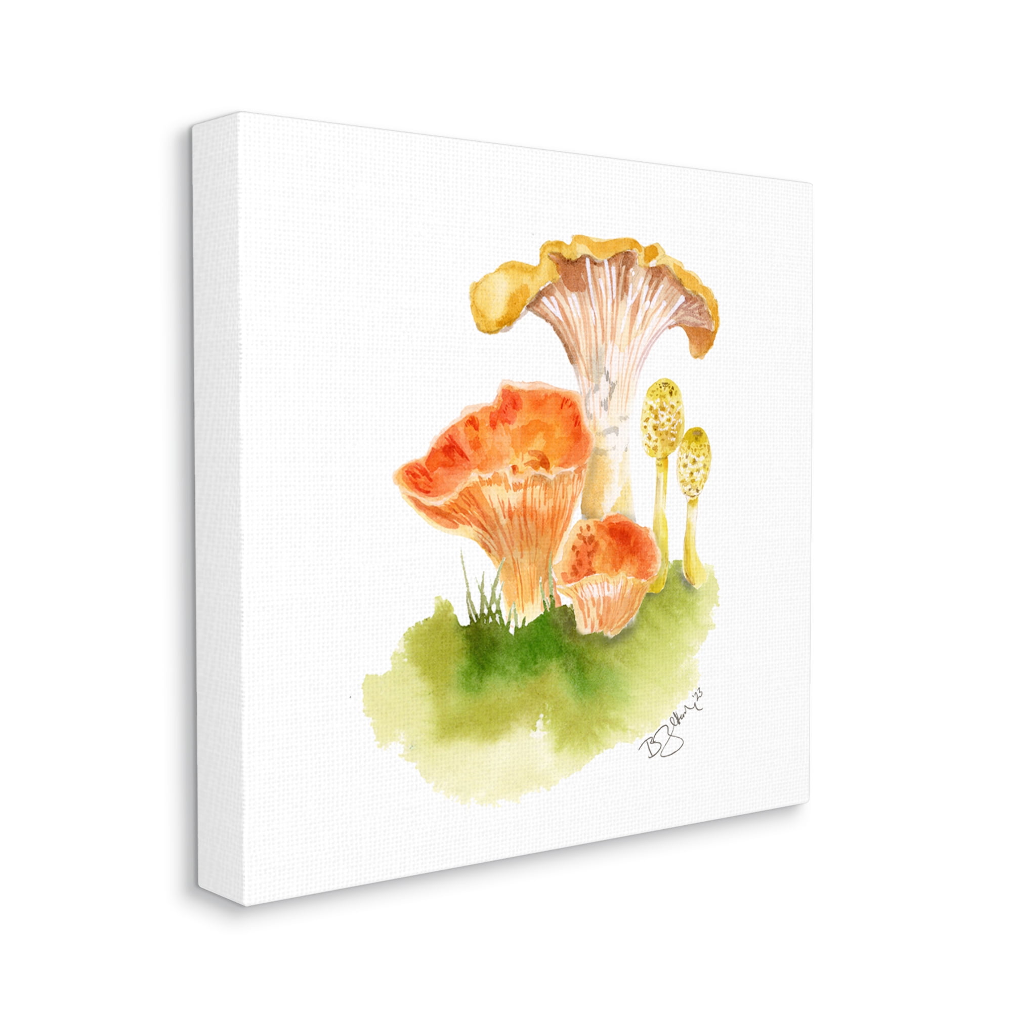 Stupell Industries Mixed Watercolor Mushrooms Botanical & Floral Painting Gallery Wrapped Canvas Art Print Wall Art, 17 x 17