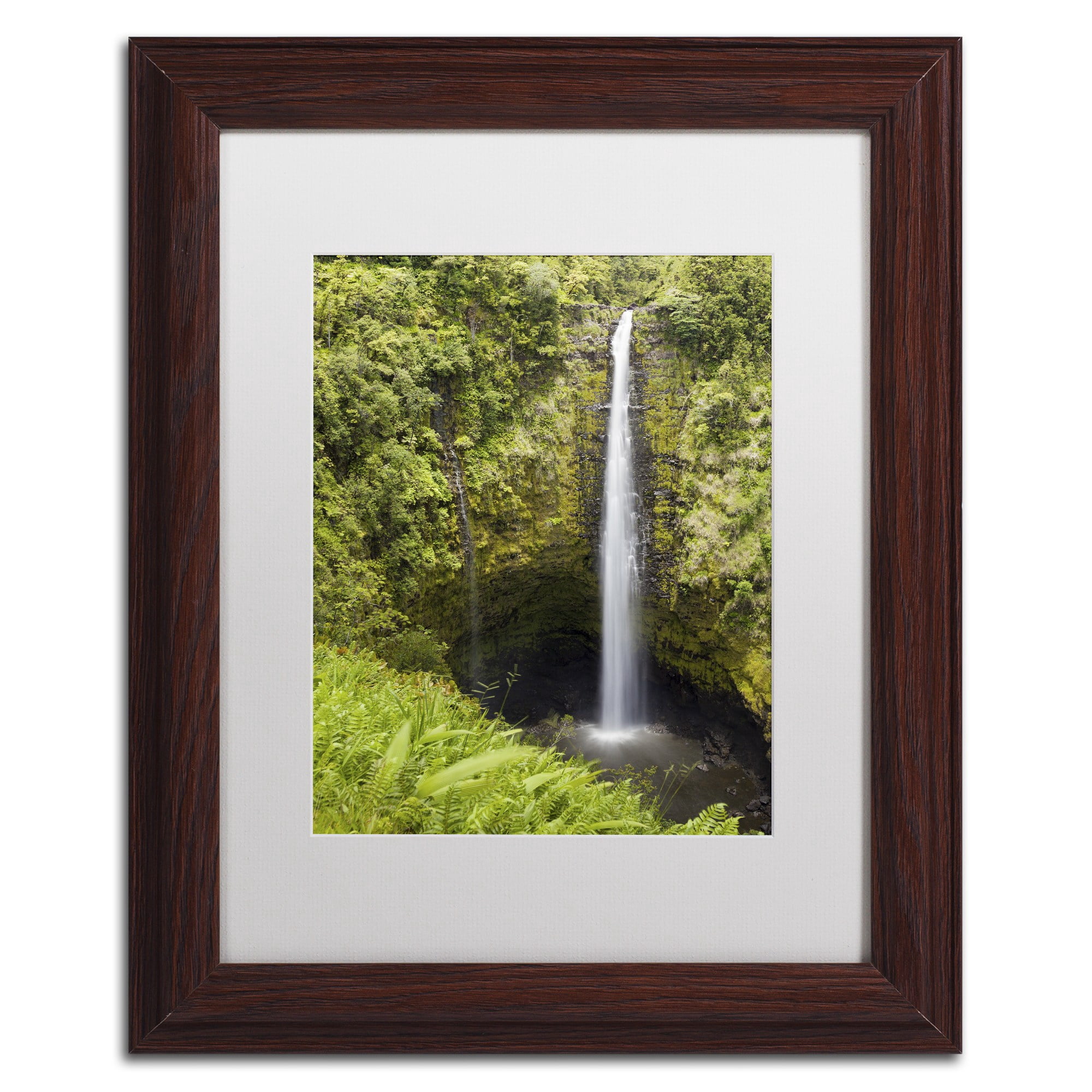 Chris Moyer 'Akaka Falls' Matted Framed Art