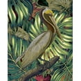 thumbnail image 2 of Hunziker, Steve 12x14 Black Ornate Wood Framed with Double Matting Museum Art Print Titled - Jungled Pelican, 2 of 4