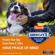 Hartz UltraGuard Rid Flea And Tick Oatmeal Shampoo For Dogs, 18oz