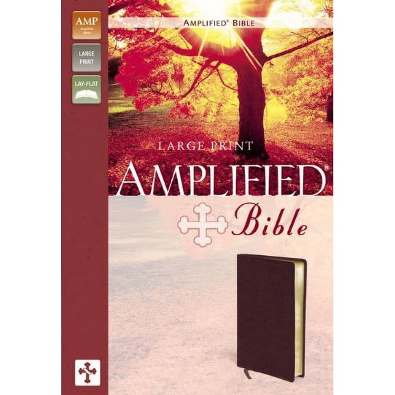 Pre-Owned Amplified Bible Paperback