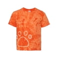 thumbnail image 1 of Dyenomite Orange 3265 L, 1 of 1