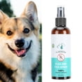 thumbnail image 3 of Killer 100ml Mascotas Mist Spray Pulgas Piojos Insecto Killer Líquido Gato Perro Piel Cuidado Saludable Spray, 3 of 7
