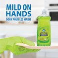 thumbnail image 3 of 828mL GV DETERGENT LIQUIDE POUR VAISELLE - PARFUM DE POMME VERTE, 3 of 4