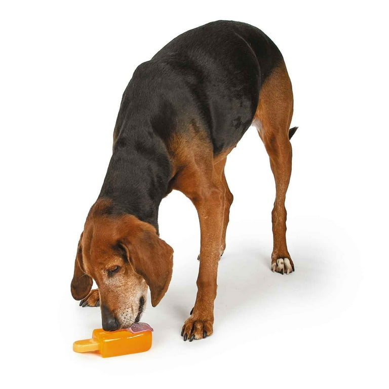 Cool Pup Popsicle Cooling & Hydrating Dog Chew Toy, Scented, Orange, Large  