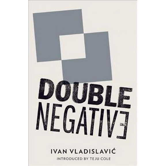 Double Negative (Paperback) by Ivan Vladislavic