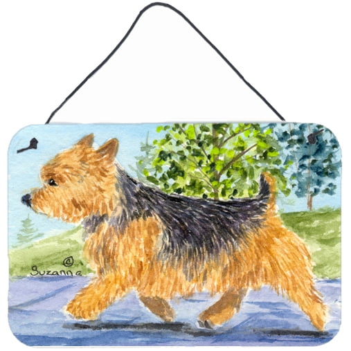 Carolines Treasures SS8879DS812 Norwich Terrier Indoor Aluminum Metal Wall or Door Hanging Prints, 8 x 12", Multicolor