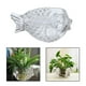 thumbnail image 3 of Jarrón de cristal en apariencia de , soporte para flores, florero de cristal hecho para centro de de flores hidropónicas, Soledad florero suculento, 3 of 10