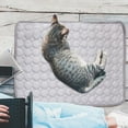 thumbnail image 6 of Summercome Cooling Mat for Pets, Ice Silk Mat Cooling Blanket Cushion for Dogs Cats, Summer Cool Down Comfortable Pet Pad, Ideal for Kennel Sofa Bed Floor Car Seats, 11.8 × 15.7inch (Gray), 6 of 9