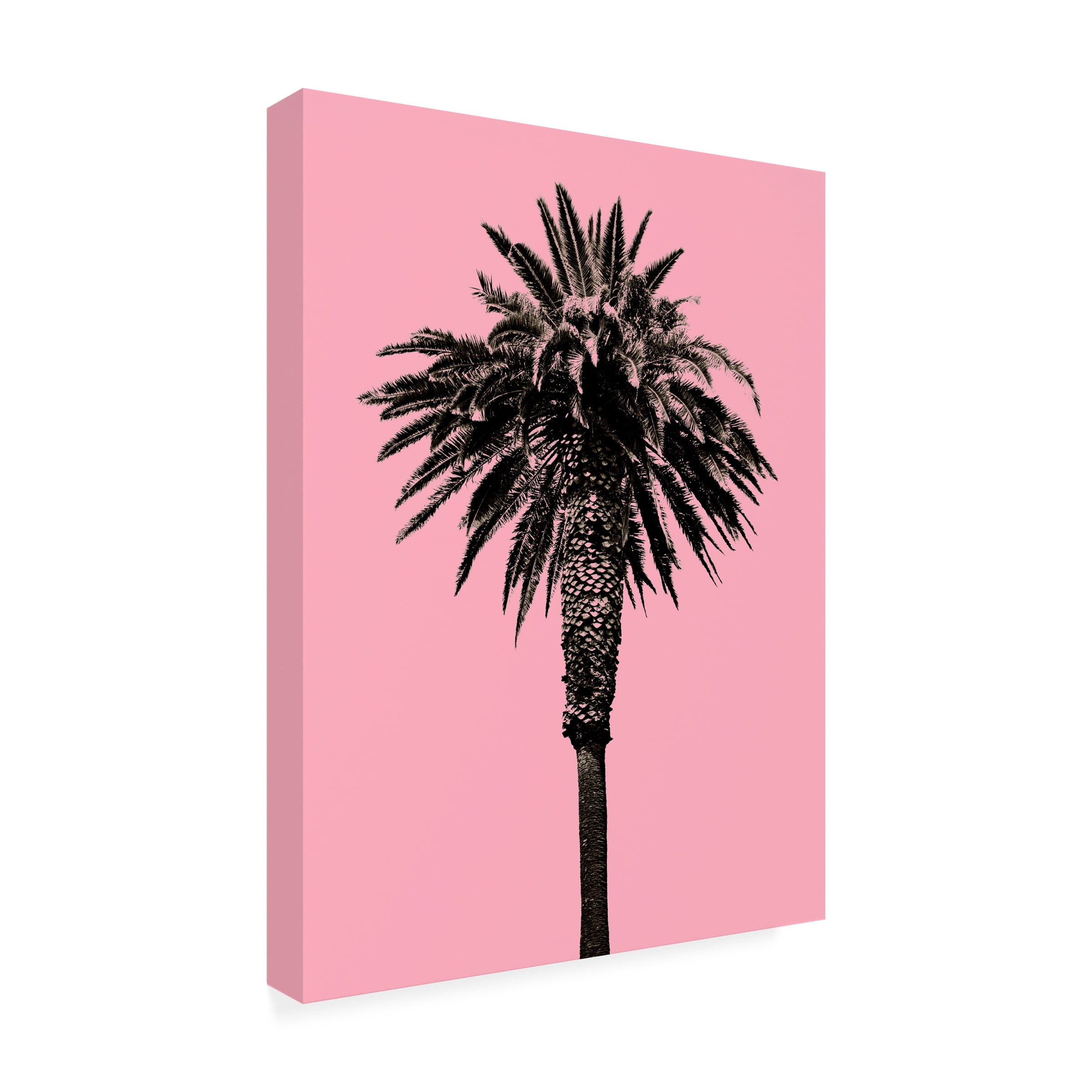 Erik Asla 'Palm Tree 1996 (Pink)' Outdoor Canvas