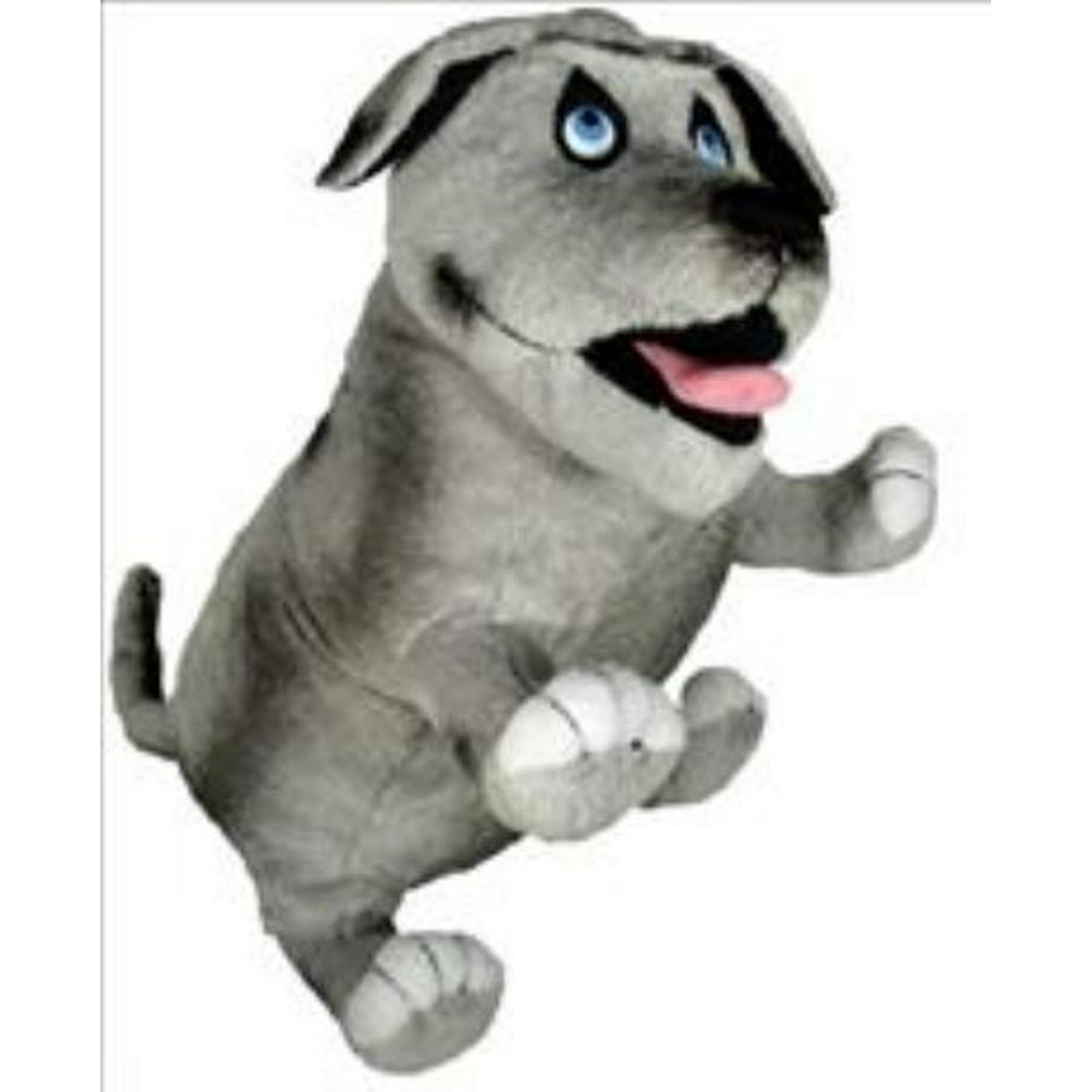 Dog toy that farts sales