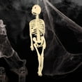 thumbnail image 2 of Hbdhejl Children Educational Toys Whole Body Scary Skeleton Model Toy, 2 of 3