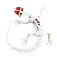 thumbnail image 4 of Dissect-It  la salamandre, 4 of 5