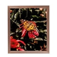 thumbnail image 4 of ArtToFrames 12" x 16" Walnut Wood Picture Frame, 12x16 inch Brown Wood Poster Frame (WOM-4883), 4 of 7