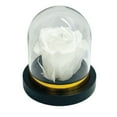thumbnail image 4 of PRESERVED ROSES IN A MINI ROSE DOME DIAMOND INSIDE, 4 of 7