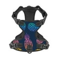 thumbnail image 4 of Lsque Abstract Bright Pineapple Fruit Retro Dog Harness, No-Pull Pet Harness with 2 Leash Clips, Adjustable Soft Padded Dog Vest with Easy Control Handle for Large Dogs-Large, 4 of 9