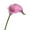 Pink, variant on Heqing Boutique Artificial Flower Yunrong Calla Artificial Flower Manufacturer for Home Decoration and Wedding Clearance