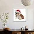 thumbnail image 4 of Christmas Dog  English Bulldog Wearing Santa Hat Holding Christmas Bell, Animals Seasons Framed Art Print Wall Art by Willee Cole Sold by Art.Com, 4 of 6