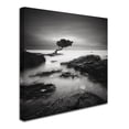 thumbnail image 2 of Trademark Fine Art "Tree Of Temptation" Canvas Art by Rob Cherry, 2 of 3