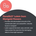 thumbnail image 5 of ARG Lutein 20 mg Key Eye Nutrient - Supplement to Support Eye Health - Delivers 20 mg Lutein with 1 mg Zeaxanthin - Carotenoid Antioxidant - Vegetarian & Hypoallergenic - 60 Servings - 60 Capsules, 5 of 6