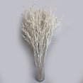 thumbnail image 3 of Observaciones para pedidos de compra: Descuento dentro de 50 cm para la entrega Rama de espuma de flor artificial marrón de 14 metros vid marchita decoración de boda rama falsa ANGGREK Otros, 3 of 8
