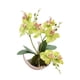 thumbnail image 5 of Decoración de jardín Matsuzay flores artificiales orquídea seda multicolor, 5 of 6