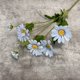 thumbnail image 1 of Xiao Hua 6 flores artificiales de tacto real para decoración del hogar, oficina, boda, arreglo floral (azul, 77 cm de largo), 1 of 5
