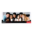 thumbnail image 1 of Puzzle AQUARIUS Friends, 1000 piezas, delgado, 30 x 91 cm, 1 of 7