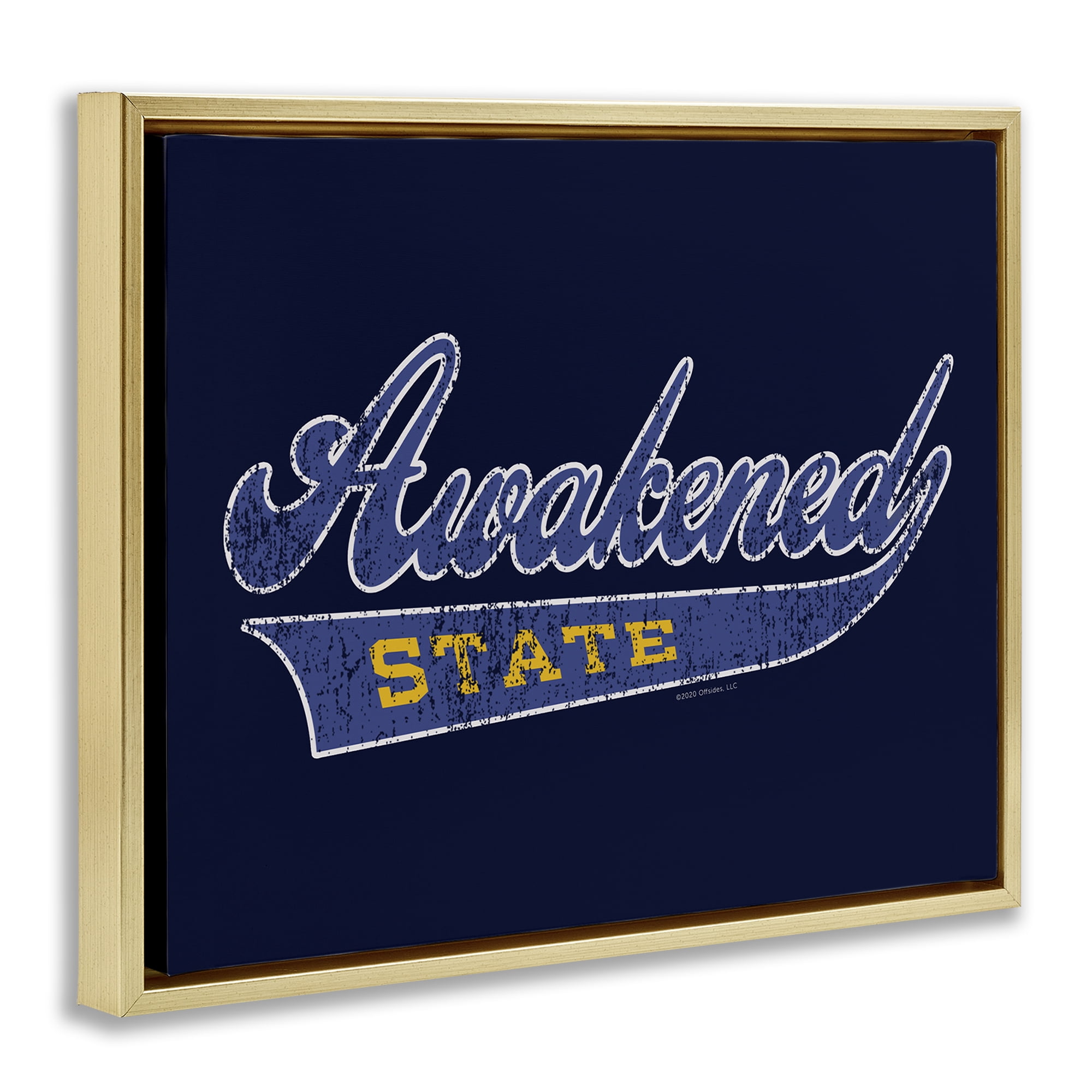 Stupell Industries Awakened State Varsity Novelty & Humor Painting Gold Floater Framed Canvas Art Print Wall Art, 21 x 17
