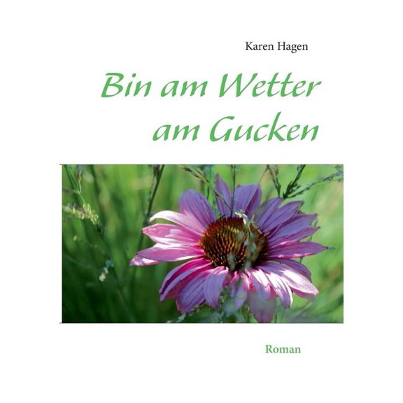 Bin am Wetter am Gucken: Roman, (Paperback)
