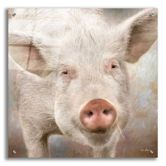 Epic Art 'Pig Face' by Lori Deiter, Acrylic Glass Wall Art, 24"x24"