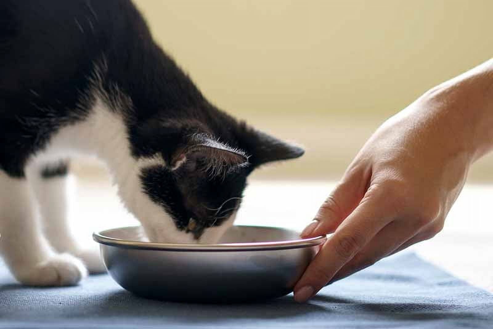 AYADA Raised Cat Food Bowl, Stainless Steel Cat Dish Macao