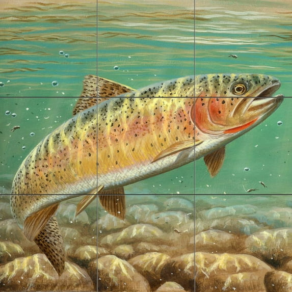 Tile Mural Bathroom Backsplash - Cutthroat Trout-CF - by Cynthie Fisher