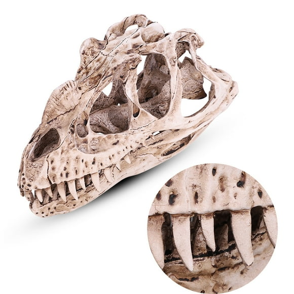 Dinosaur Skull, Resin Simulated Animal Skeleton Craft Teaching Prop Skeleton Decoration Dinosaur Skull Sculpture Dinosaur Skull Model with 7.09x2.76x4.13in for Home Aquarium