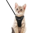 thumbnail image 1 of SAYDY Cat Harness and Leash Set for Walking, Plush Escape Proof Walking Outdoor Vest for Cold Weather, Adjustable Easy Control Reflective Strips Jacket, Black, XS (Chest: Chest: 13.5"-16"), 1 of 7