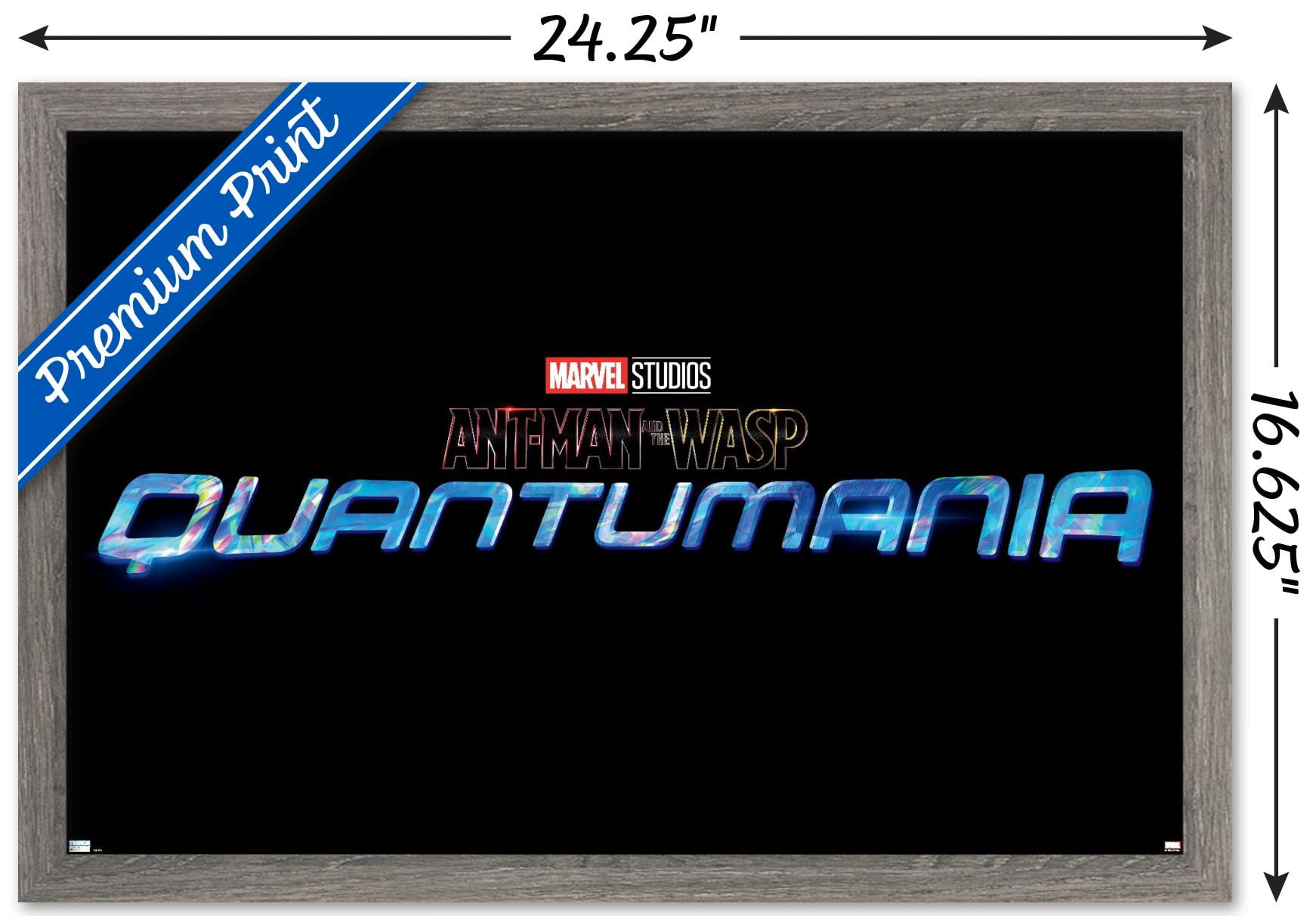 Marvel Ant-Man and the Wasp: Quantumania - Logo Wall Poster, 14.725 x  22.375, Framed 