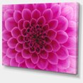 thumbnail image 2 of Dark Pink Abstract Flower Petals - Floral Canvas Art Print, 2 of 3
