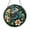 Acrylic 3.5 Inch, variant on Lizard Stained Glass Suncatcher Window Hanging, Colorful Iguana with Flowers Nature Art Decor Gift