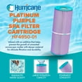 thumbnail image 2 of Hurricane 3 Pack HF4950-01P Platinum Purple Spa Filter Cartridge Replacement, 2 of 8