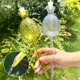 thumbnail image 3 of Bulbo de riego automático con diseño de piña. Globos de riego automático para plantas. Dispositivo de riego de liberación lenta para plantas de interior en maceta cuando se viaja., 3 of 8